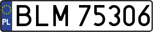 BLM75306