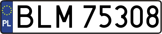 BLM75308
