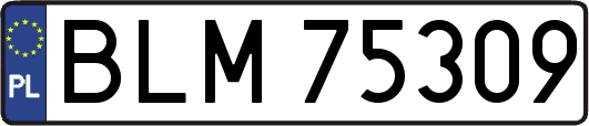 BLM75309