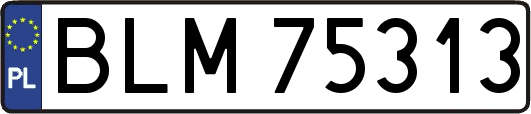 BLM75313
