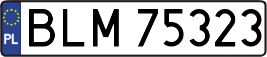 BLM75323
