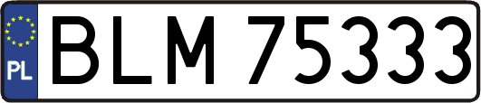BLM75333