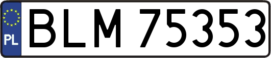 BLM75353