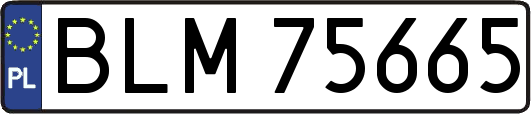 BLM75665