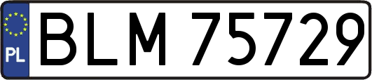 BLM75729