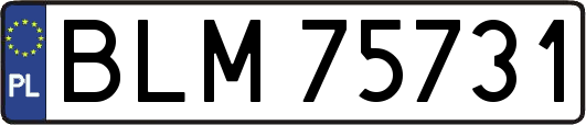 BLM75731