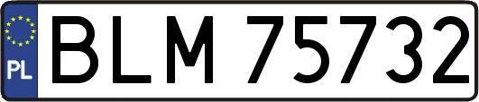 BLM75732