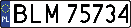 BLM75734