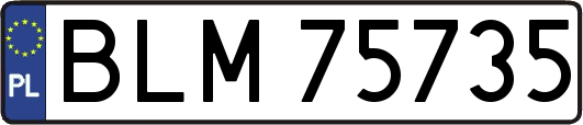 BLM75735