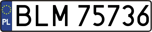 BLM75736