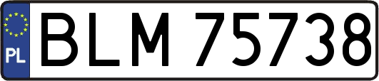 BLM75738