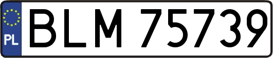 BLM75739