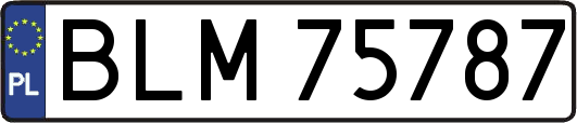 BLM75787