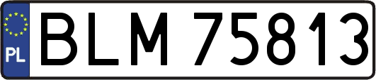 BLM75813