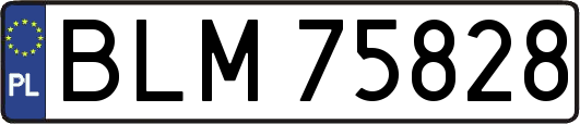 BLM75828
