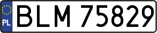 BLM75829