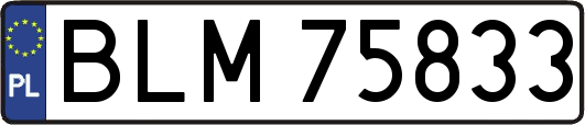 BLM75833