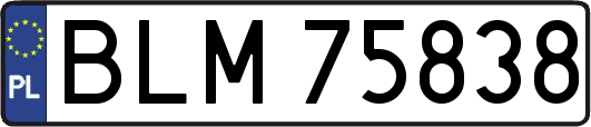 BLM75838