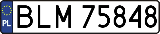 BLM75848