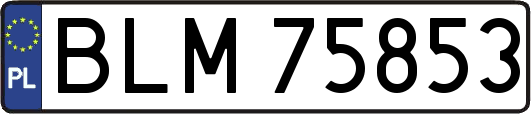 BLM75853