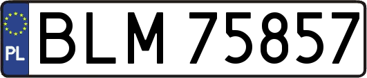 BLM75857