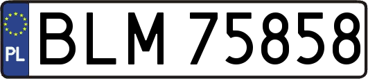 BLM75858