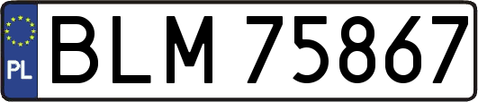 BLM75867