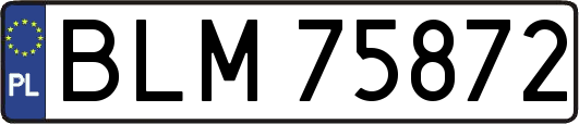 BLM75872