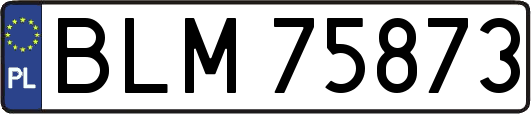 BLM75873