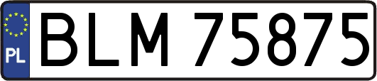 BLM75875
