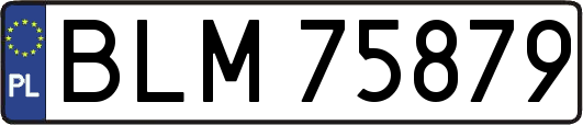 BLM75879