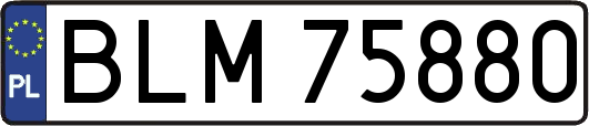 BLM75880