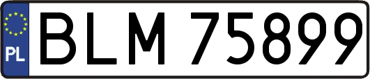 BLM75899