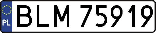 BLM75919