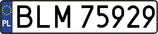 BLM75929