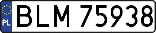 BLM75938