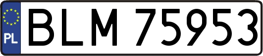 BLM75953
