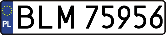 BLM75956