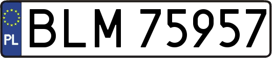 BLM75957