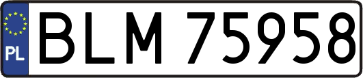 BLM75958