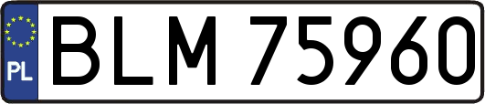 BLM75960