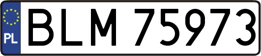 BLM75973