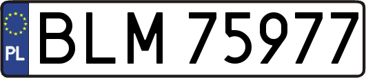 BLM75977