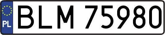 BLM75980