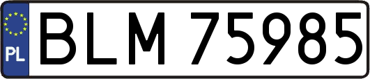 BLM75985