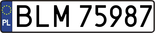 BLM75987
