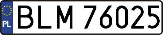 BLM76025