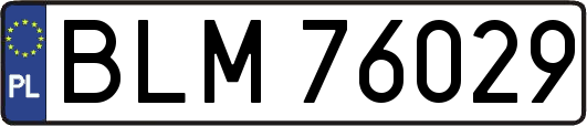 BLM76029