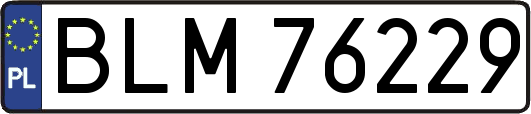 BLM76229