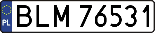 BLM76531